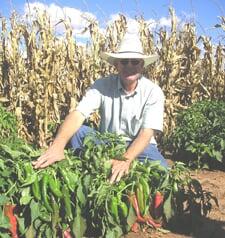 How Ed Curry is Revolutionizing the Chile Industry